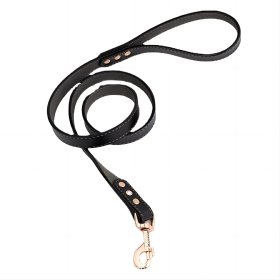 PU leather explosion-proof dog traction rope