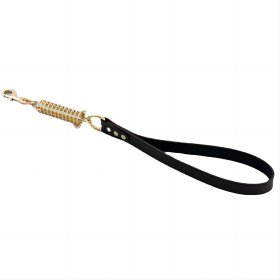 PU spring traction rope for medium to large dogs