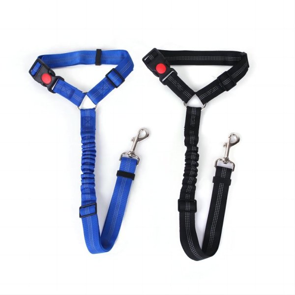 Car mounted dog safety traction belt