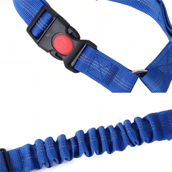 Car mounted dog safety traction belt