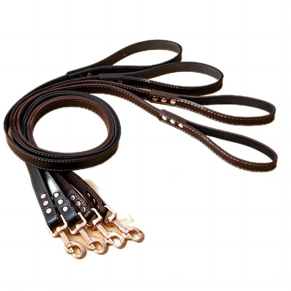 PU leather explosion-proof dog traction rope