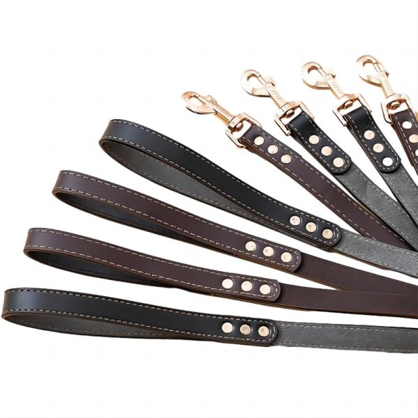 PU leather explosion-proof dog traction rope