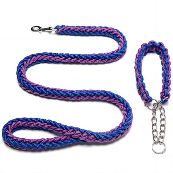 Eight strand nylon collar traction rope+collar