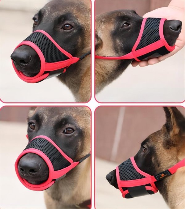 Adjustable breathable muzzle for medium and large dogs