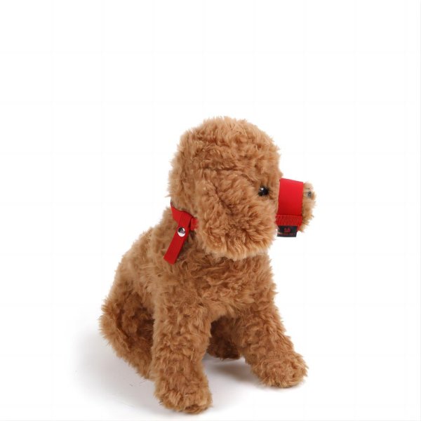 Small Dog Outgoing Mouth Cover