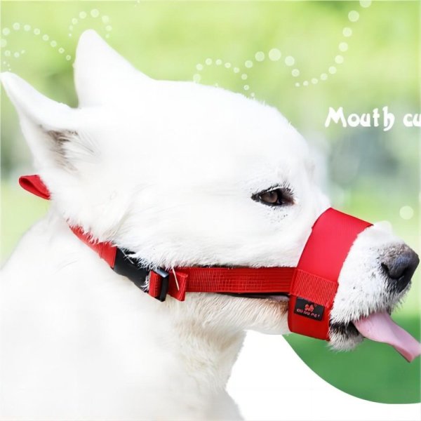 Small Dog Outgoing Mouth Cover