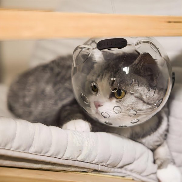 Cat anti licking breathable outdoor headgear