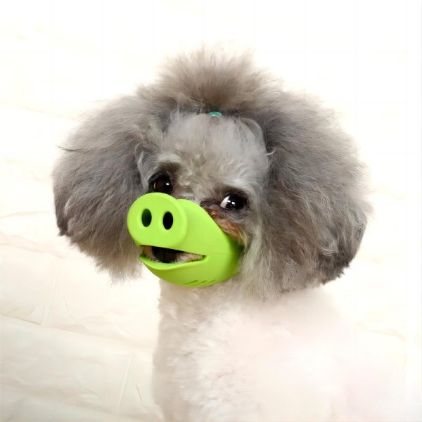 Pig nose style dog muzzle small dog