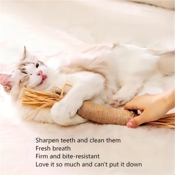 Polygonum polygonum molar bite resistant cat toy