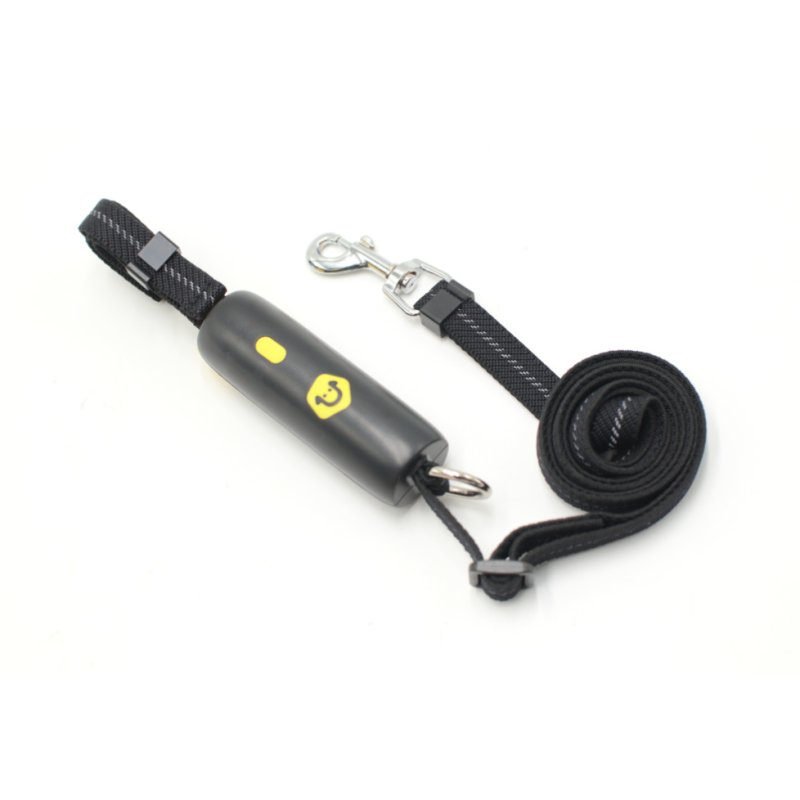 LIUTA pet leash