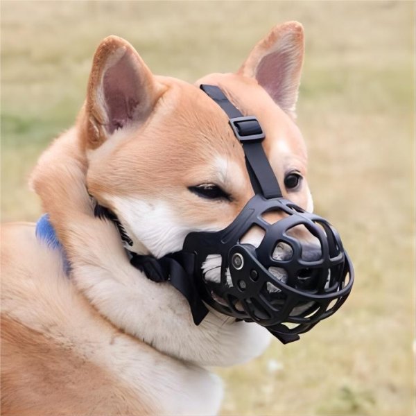 Anti-bite bark anti-eating medium and large dog mask