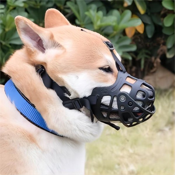 Anti-bite bark anti-eating medium and large dog mask