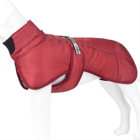 Winter New Dog Clothes Thickened and Warm Big Dog Clothes