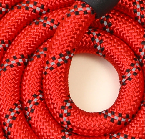 Explosion-proof dog rope reflective round rope
