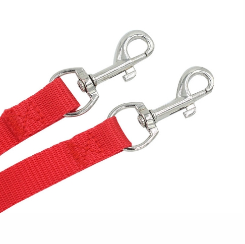 Towing two dogs at the same time with a dual lead rope