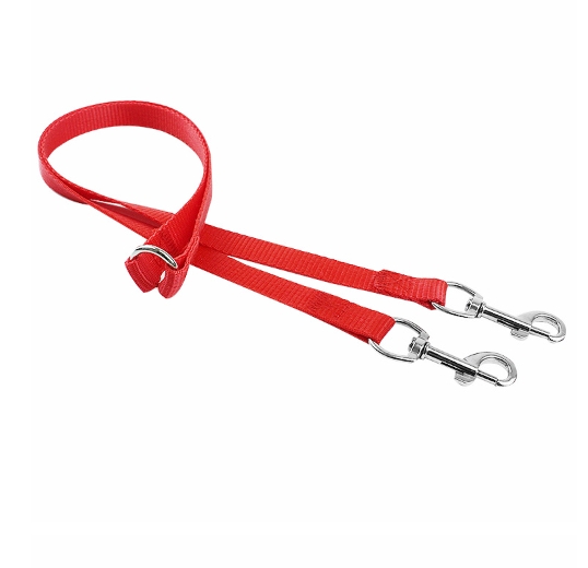 Towing two dogs at the same time with a dual lead rope