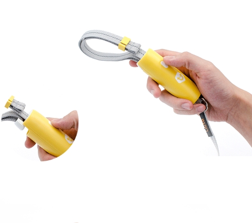 LIUTA pet leash